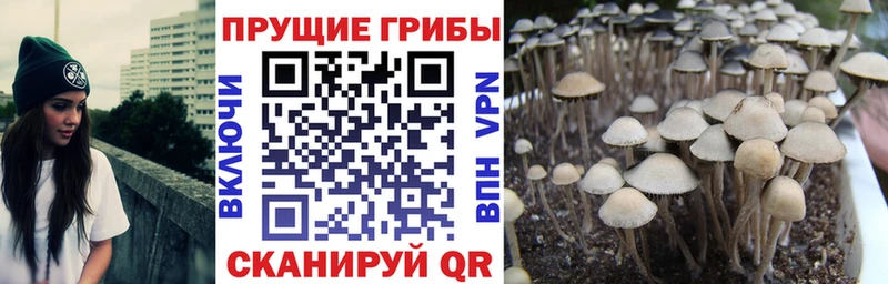 МЕГА ONION  Барыш  Галлюциногенные грибы мицелий 